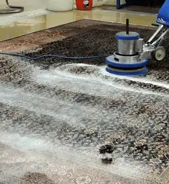 Professional rug cleaning with a rotary floor machine and shampoo foam, deep-cleaning an area rug Columbus, OH.
